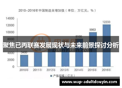 聚焦已丙联赛发展现状与未来前景探讨分析