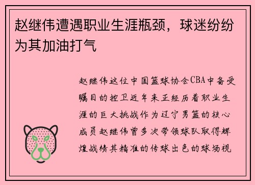 赵继伟遭遇职业生涯瓶颈，球迷纷纷为其加油打气